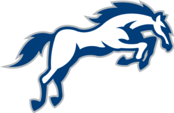 Indianapolis colts horse