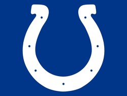 Indianapolis colts horse