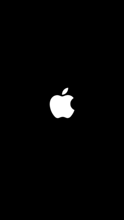 Ipad stuck on apple