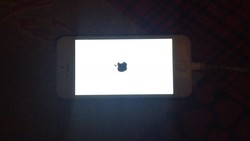 Iphone 6 blinking apple