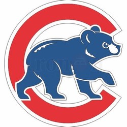 Iron on cubs