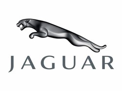 Jaguar company