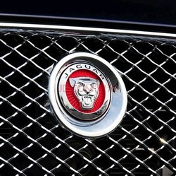 Jaguar front