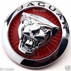 Jaguar front
