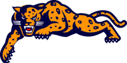 Jaguar mascot