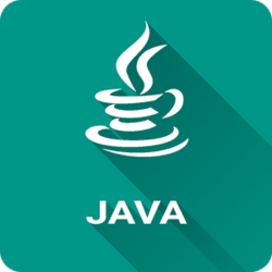 Java programming language
