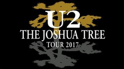 Joshua tree