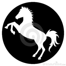 Jumping horse in circle