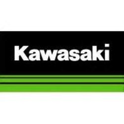 Kawasaki eps