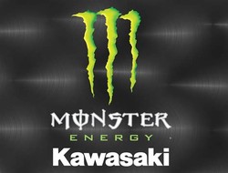 Kawasaki monster