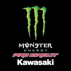 Kawasaki monster