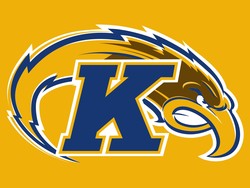 Kent state golden flashes