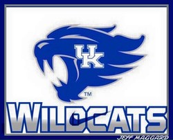 Kentucky wildcats new