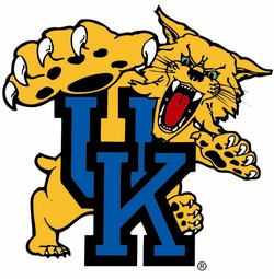 Kentucky wildcats new