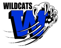 Kentucky wildcats vector