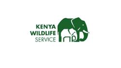 Kenya wildlife service