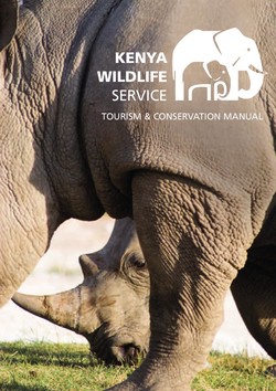 Kenya wildlife service