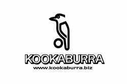 Kookaburra cricket