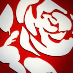 Labour rose