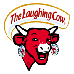 Laughing cow cheese