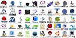Linux distribution