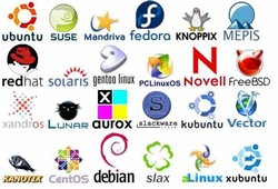 Linux distribution