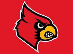 Louisville cardinal basketball