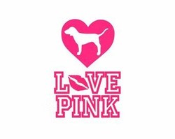 Love pink dog