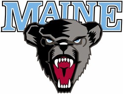 Maine black bears