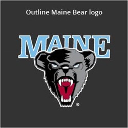 Maine black bears