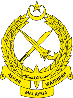 Malaysian armed forces