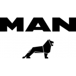 Man lion