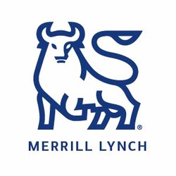 Merrill lynch bull