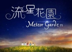 Meteor garden