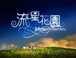Meteor garden