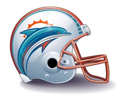 Miami dolphins helmet