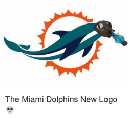 Miami dolphins new