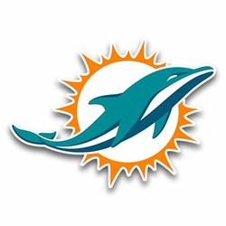 Miami dolphins team