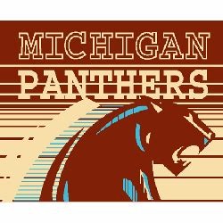 Michigan panthers