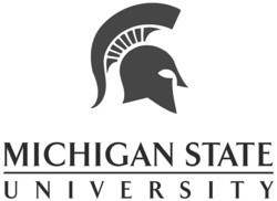 Michigan state