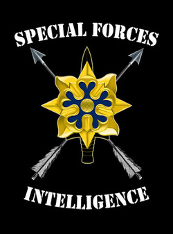 Military intelligence