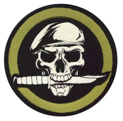 Military skull