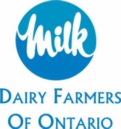 Milk dairy