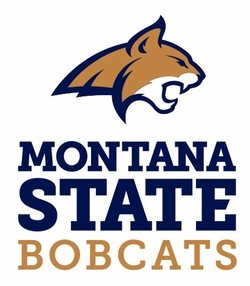 Montana state bobcats