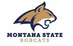 Montana state bobcats