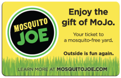Mosquito joe