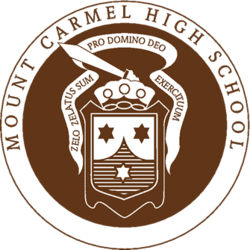 Mount carmel college