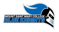 Mount saint mary college