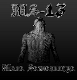 Ms 13