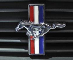 Mustang car